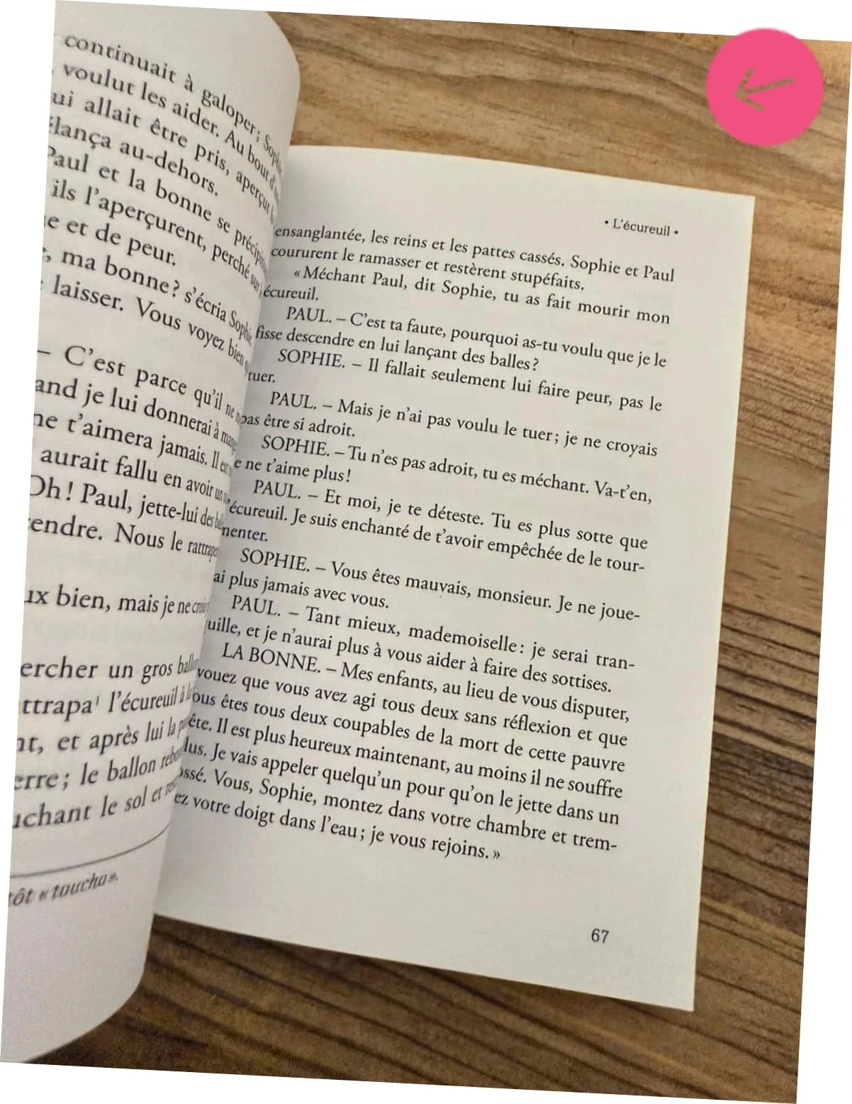 Livre les malheurs de Sophie – photo 3